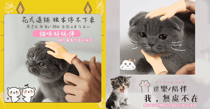寵愛必備安撫貓咪小手套