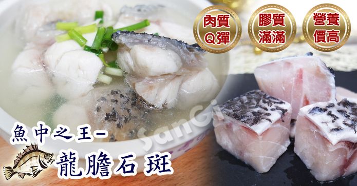 魚中之王龍膽石斑300g