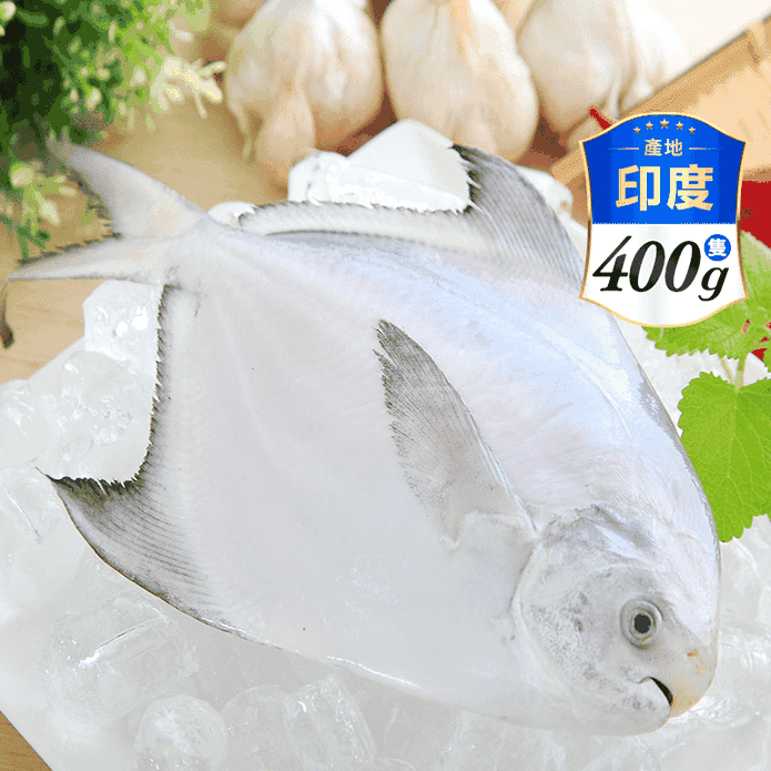 【海之醇】大規格印度野生白鯧魚400g