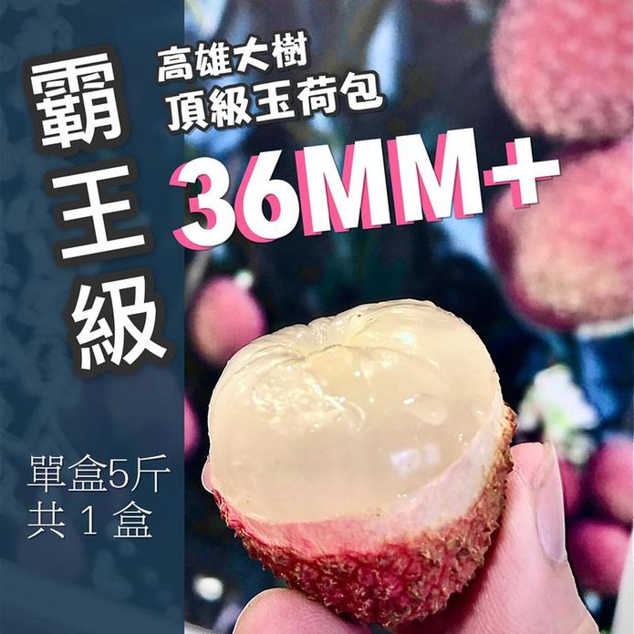 【老張果物】大樹頂級霸王36MM+爆汁玉荷包禮盒5斤