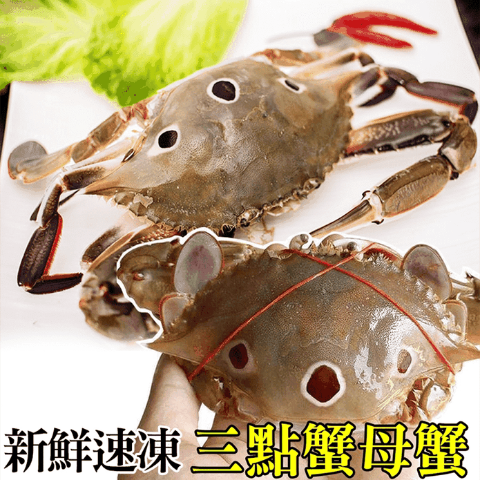 野生活凍鮮甜三點蟹 生活市集
