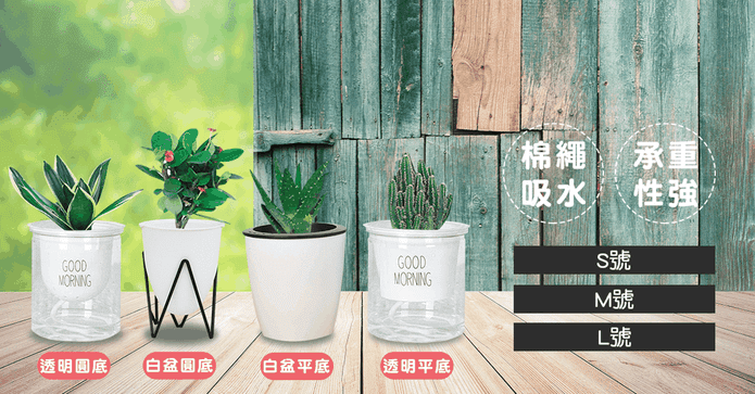 簡易懶人自動吸水花盆
