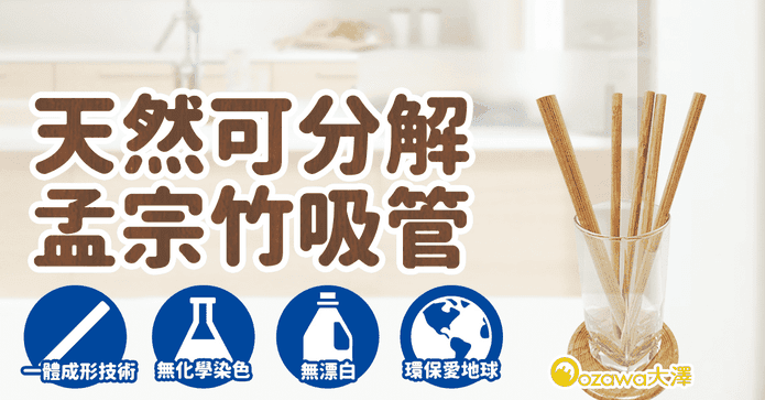 天然孟宗竹植物吸管組