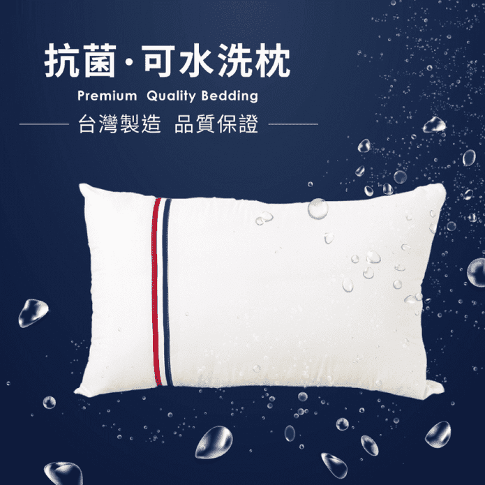 台灣製防蟎可水洗枕頭