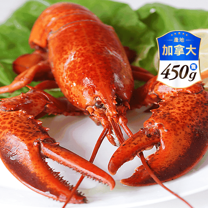【海之醇】頂級波士頓熟凍螯龍蝦450g