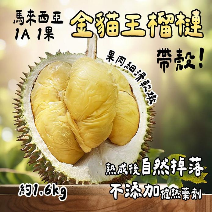 【馬來西亞】冷凍帶殼金貓王榴槤1A果1.6kg 冷凍榴槤 榴槤冰 榴槤肉 水果