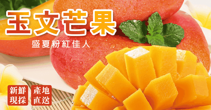 產地直送玉文芒果10斤