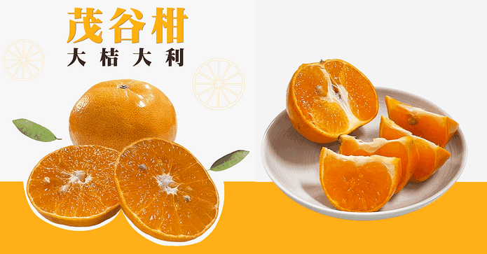 台灣水果茂谷柑禮盒5斤