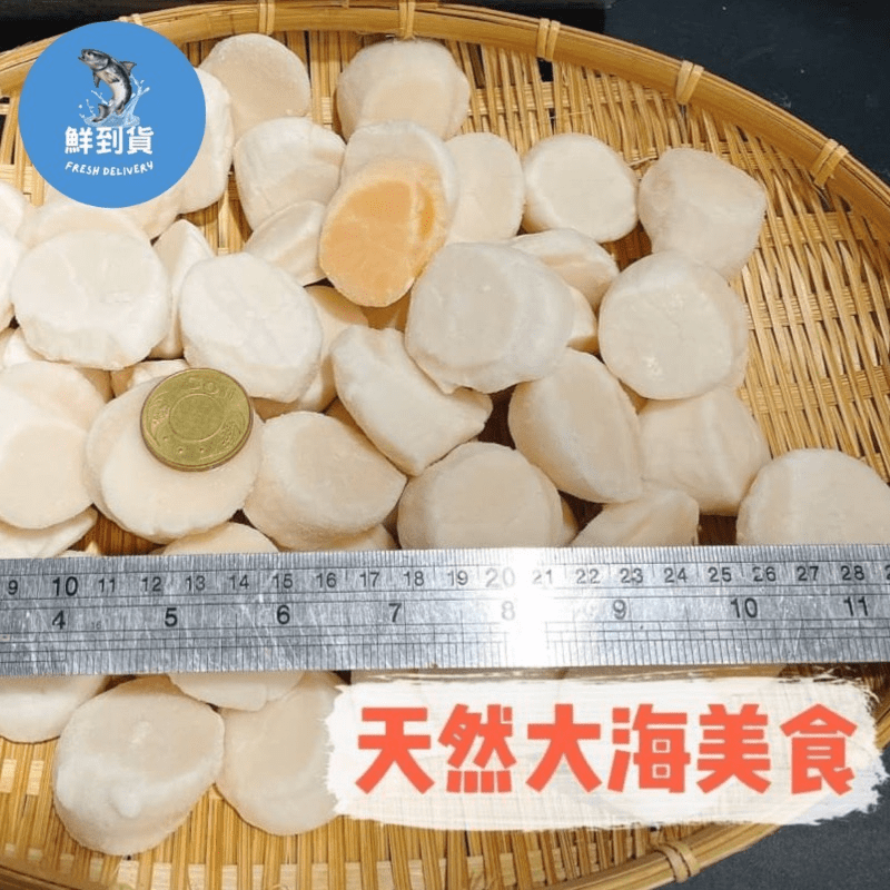 鮮到貨北海道生食級干貝