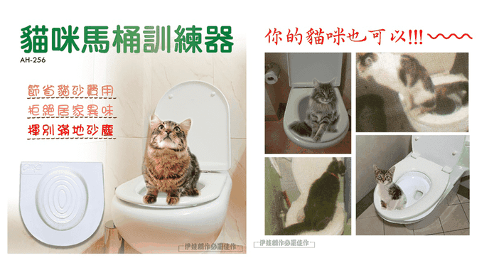 貓咪馬桶訓練器