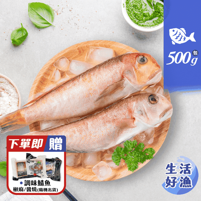 【生活好漁】嚴選野生金面馬頭魚(2尾共500g/包)贈調味鯖魚