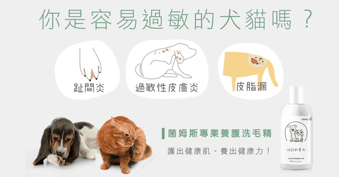 菌姆斯專業養護洗毛精
