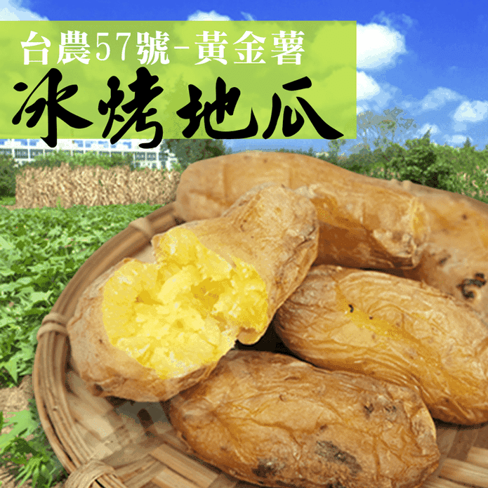 【老爸ㄟ廚房】臺農57號冰烤地瓜600g 退冰即食 冰心地瓜 抗性澱粉 熟凍地瓜