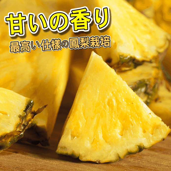 【臺灣紅】屏東龍泉蜜鳳梨10斤金鑽鳳梨 箱購水果