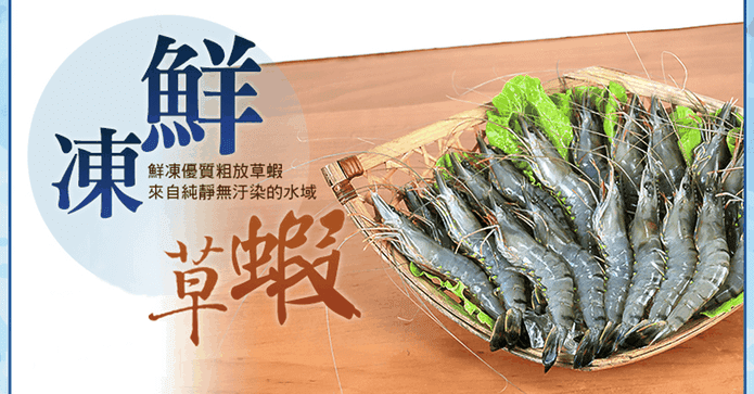 野生捕撈活凍大草蝦