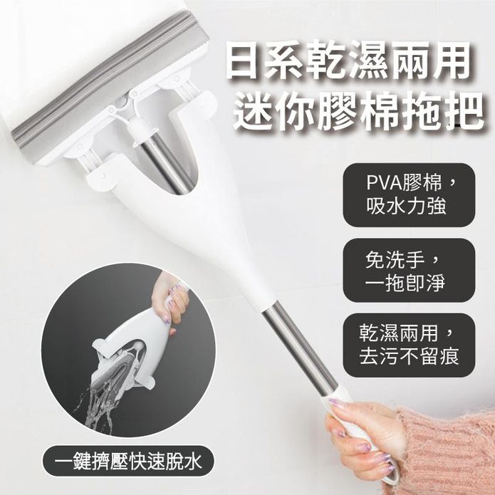 日系乾濕兩用迷你膠棉拖把