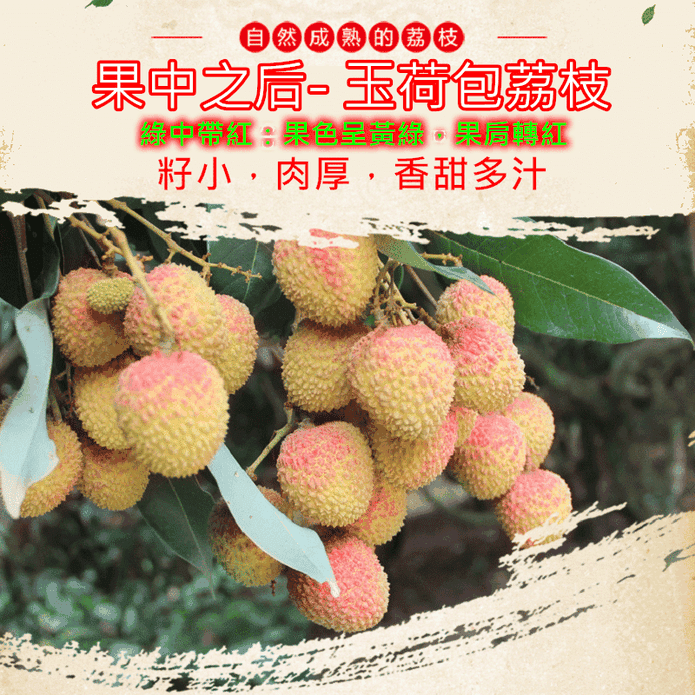 【果味仙】高雄大樹玉荷包荔枝禮盒4斤(帶枝) 冷藏新鮮配送