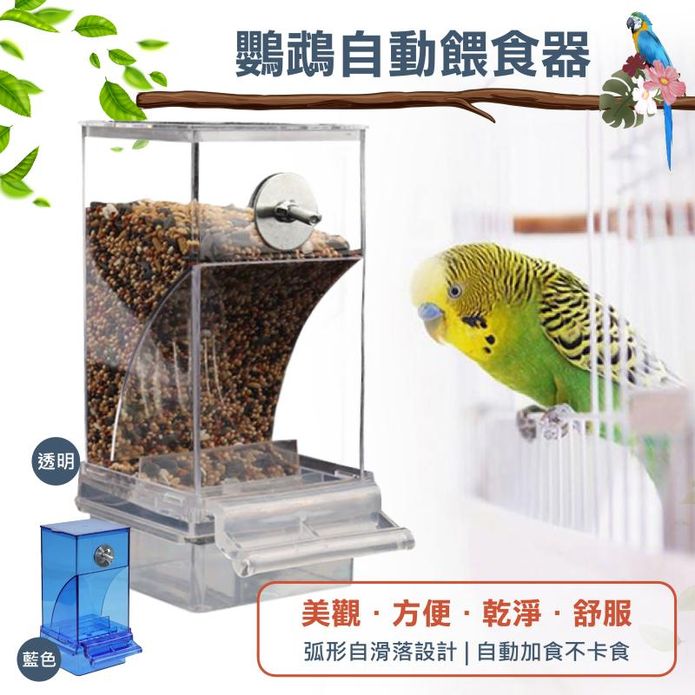 小鳥鸚鵡方便自動餵食器