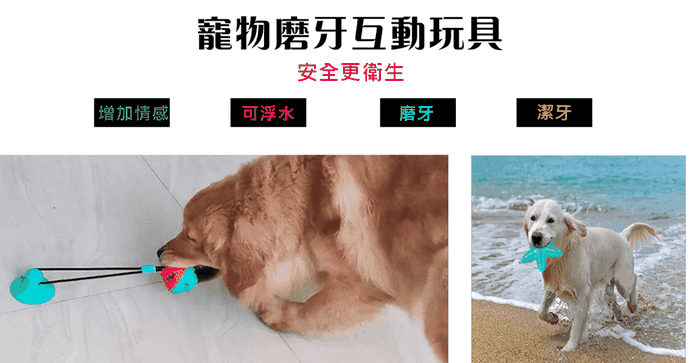 寵物磨牙互動玩具