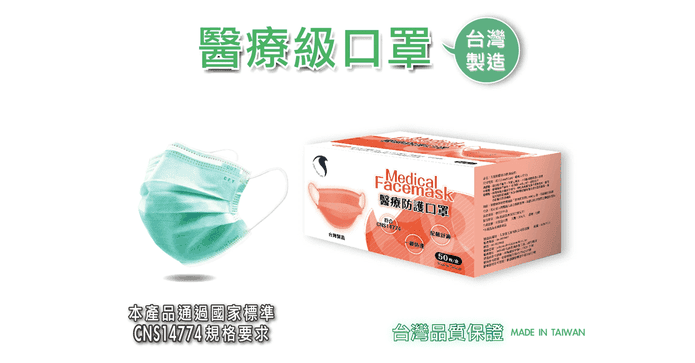 雙鋼印聖誕成人醫療口罩
