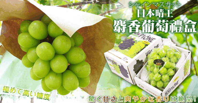 日本晴王麝香葡萄禮盒