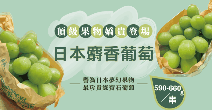 日本大果麝香葡萄600g