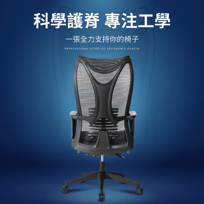 魚骨腰人體工學電腦椅