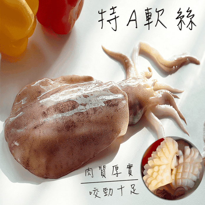 特A級鮮美活凍軟絲