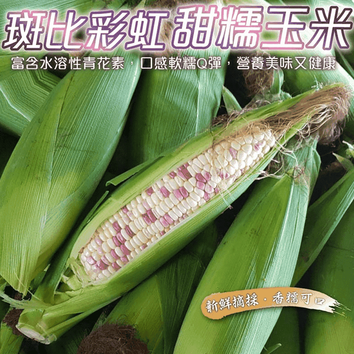 【果農直配】斑比彩虹甜糯玉米 (5斤/10斤)