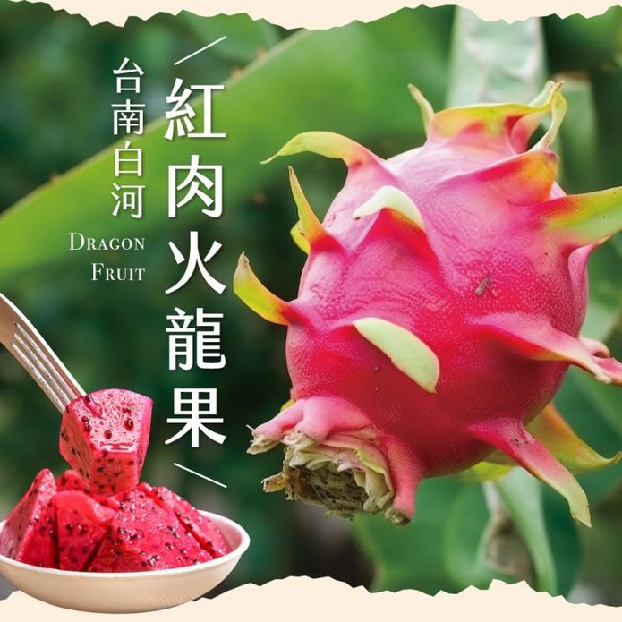 【初品果】台南白河草生栽培紅肉火龍果 5斤/盒(7-9顆)