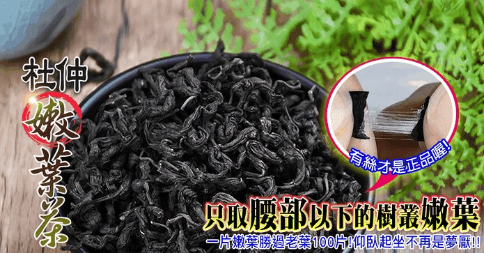 蔘大王杜仲嫩葉茶