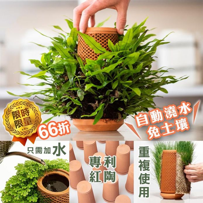 Reddot紅點生活 自動吸滲澆水紅陶植花盆盆栽懶人盆栽陶瓷盆栽 生活市集