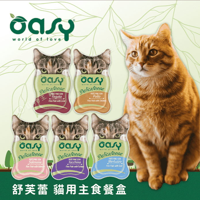 【OASY 舒芙蕾】貓用高蛋白主食餐盒85g 多款可選