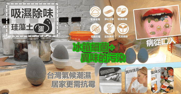 吸濕除味硅藻土蛋
