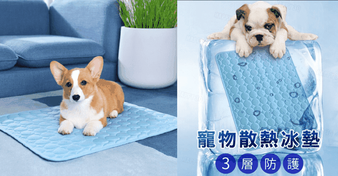 狗狗貓咪雙面散熱涼墊