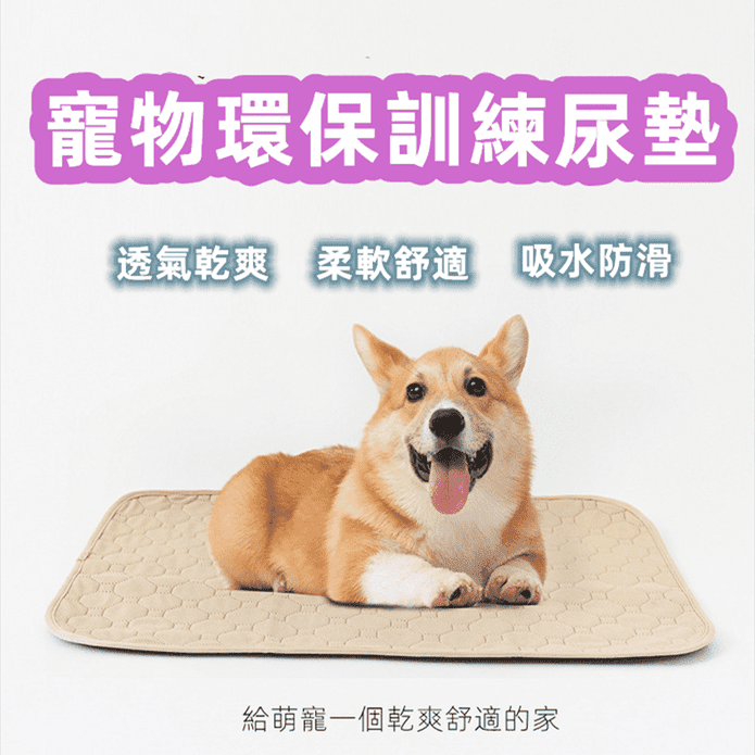 【優點生活】寵物環保訓練尿墊(多尺寸任選) 底部使用防水TPU材料
