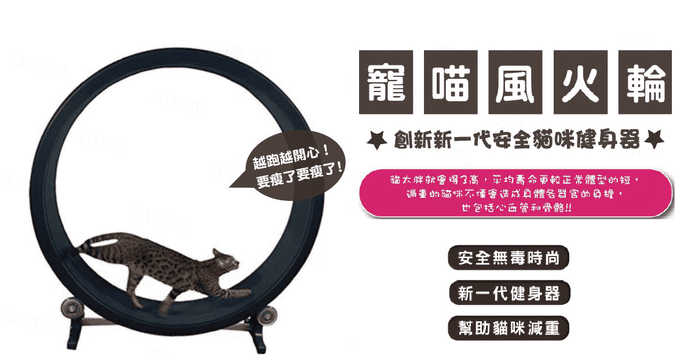 貓咪專用運動跑步機