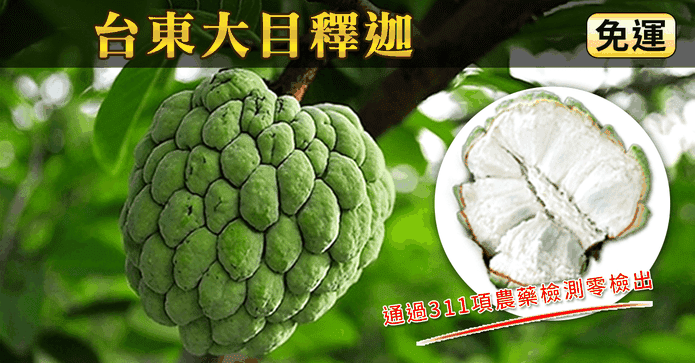 產地直送台東大目釋迦
