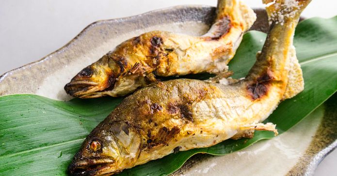台灣高山公香魚