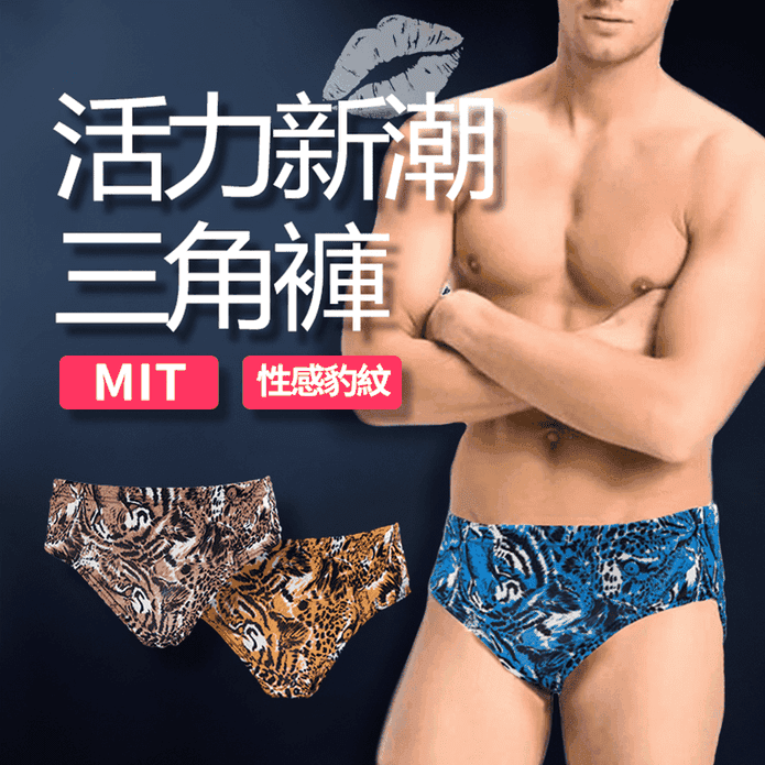台灣製Paloma豹紋三角褲