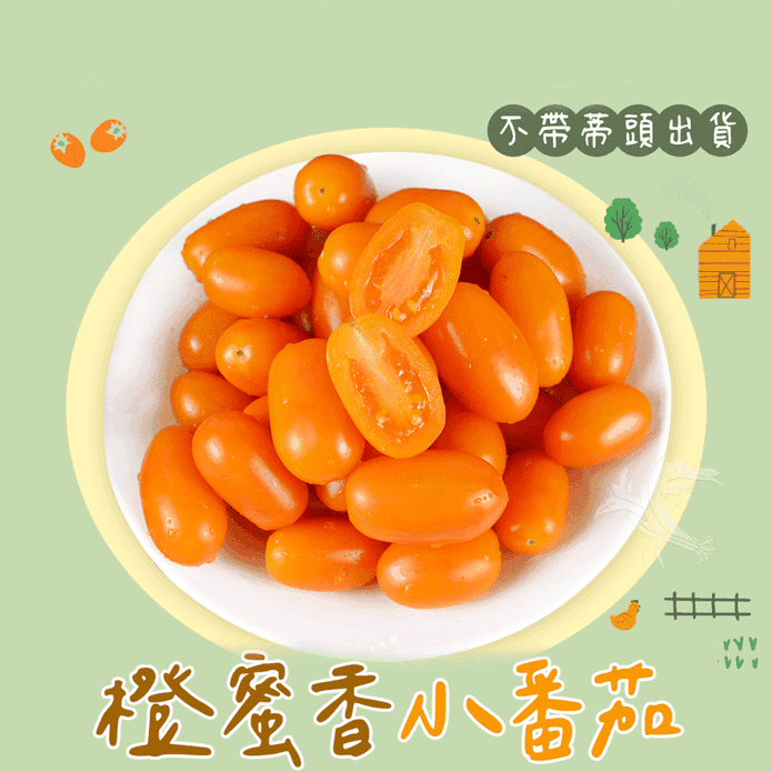 【禾鴻】橙蜜香小番茄3斤/5斤 季節限定