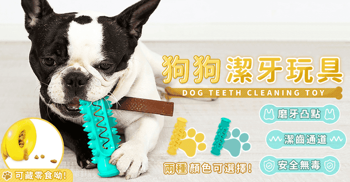 毛孩口腔健康潔牙狗玩具