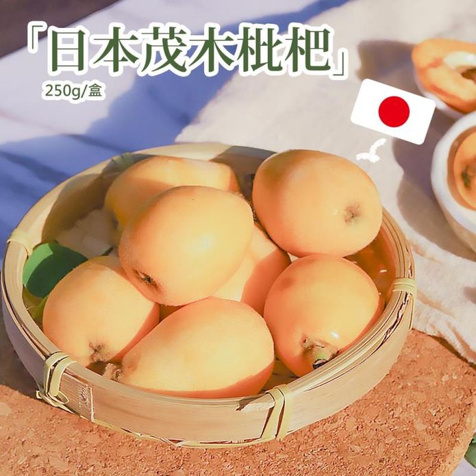 【築地一番鮮】初夏的味蕾-空運日本長崎縣溫室茂木枇杷250g