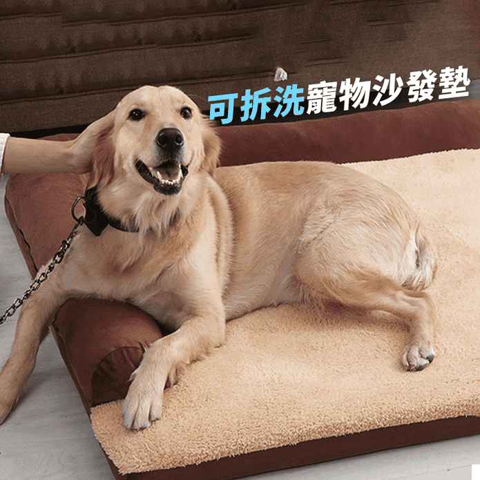 超厚可拆洗舒適寵物沙發墊狗墊 M/L 耐磨耐咬
