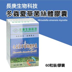 冬蟲夏草菌絲體膠囊