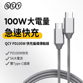 PD100WTypeC快充傳輸線