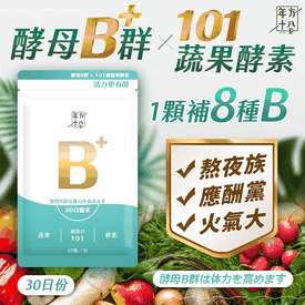 酵母B群101蔬果酵素