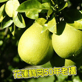 鶴岡50年老欉文旦禮盒