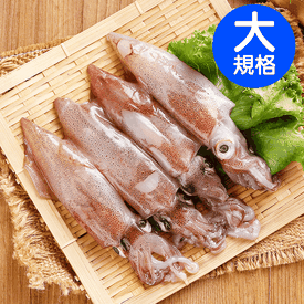 台灣XL鮮甜野生船凍小卷