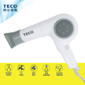 TECO東元大風力吹風機